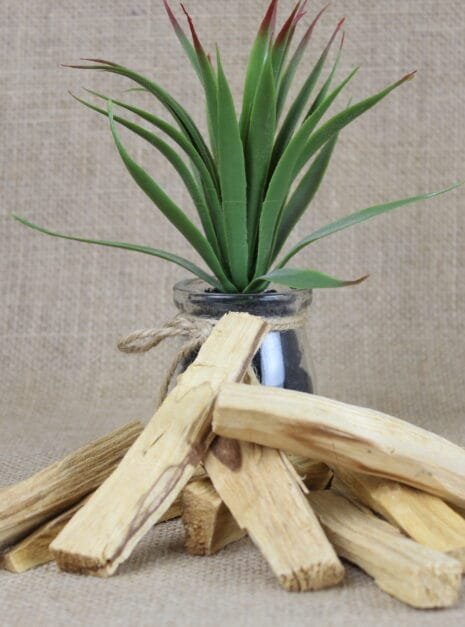Palo Santo Stick Palo Santo Stick