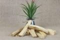 Palo Santo Stick