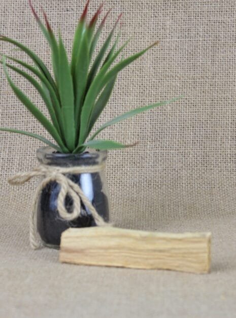 Palo Santo Smudge Stick