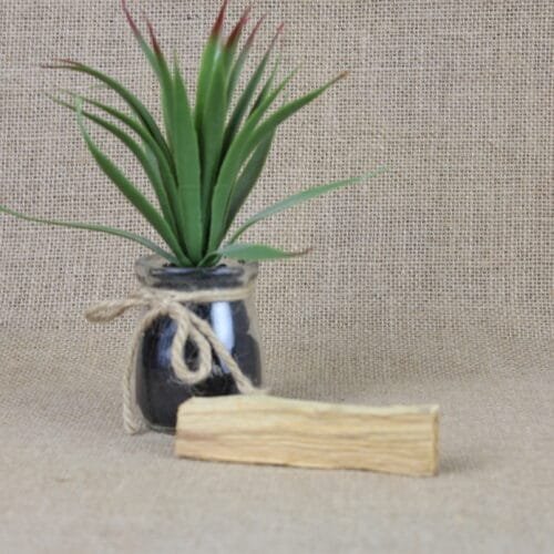 Palo Santo Smudge Stick
