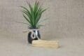 Palo Santo Smudge Stick