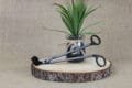 Wick Trimmers