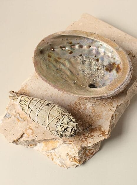 1 Cleansing Kit with Shell