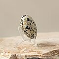 Dalmation Jasper Crystal Heart