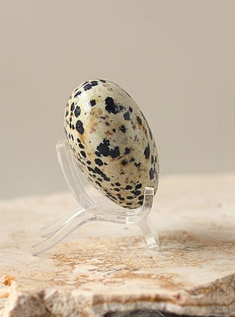 Dalmation Jasper Crystal Heart Dalmation Jasper Crystal Heart