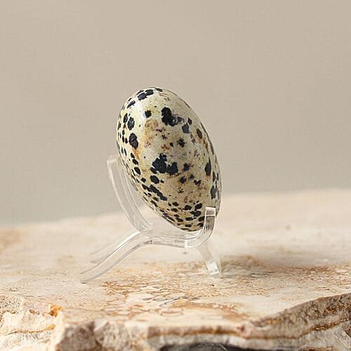 Dalmation Jasper Crystal Heart