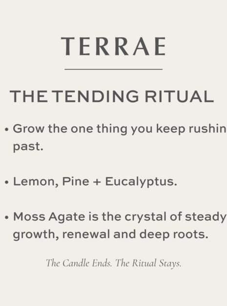 Terrae The Tending Ritual Candle Terrae Candle for The Tending Ritual