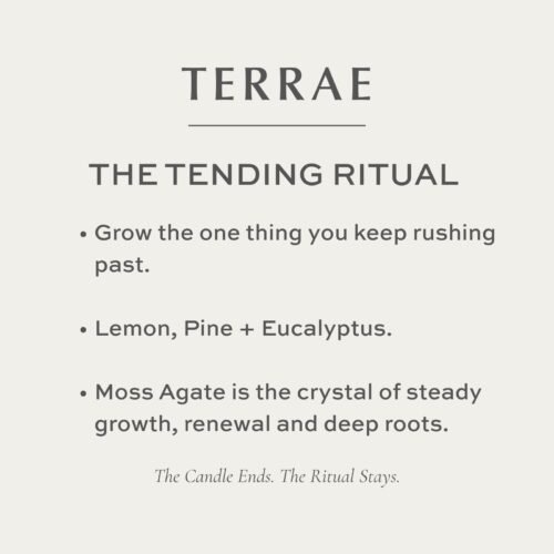 Terrae The Tending Ritual Candle Terrae Candle for The Tending Ritual
