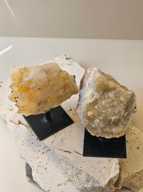 Citrine on Black stand 8 Two rough Citrine pieces side by side on their stands, showing how the shapes vary