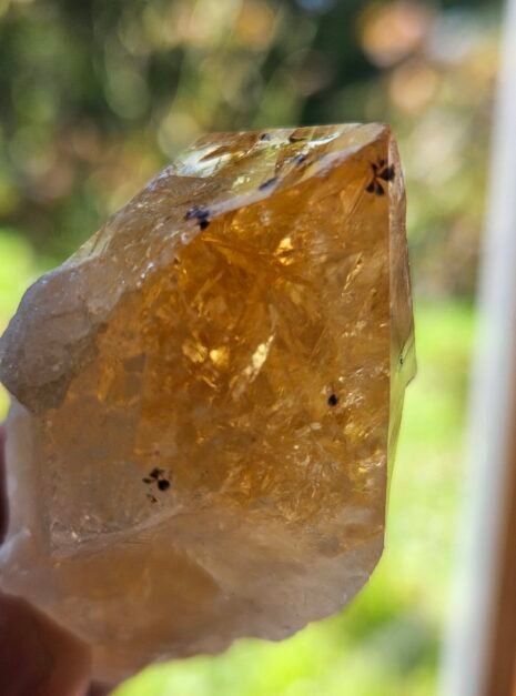 Citrine point 2 Citrine point held up outdoors, blurred green background