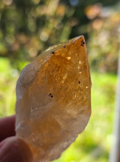 Citrine point 3 Small Citrine point held in hand, showing its size