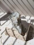 Rainbow Moonstone freeform standing on its narrow end, showing the full height of the piece