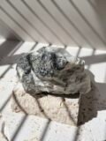 Rainbow Moonstone freeform in sunlight, showing the natural shape of the piece