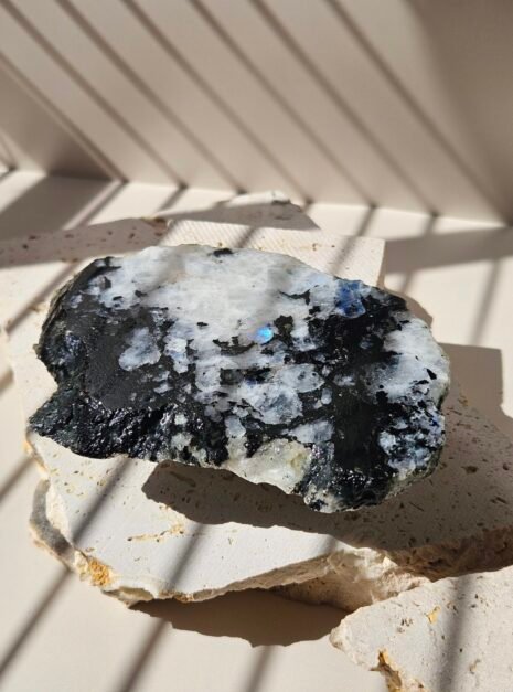 Moonstone slab 8 Rainbow Moonstone slab catching the light, blue flash visible through the stone