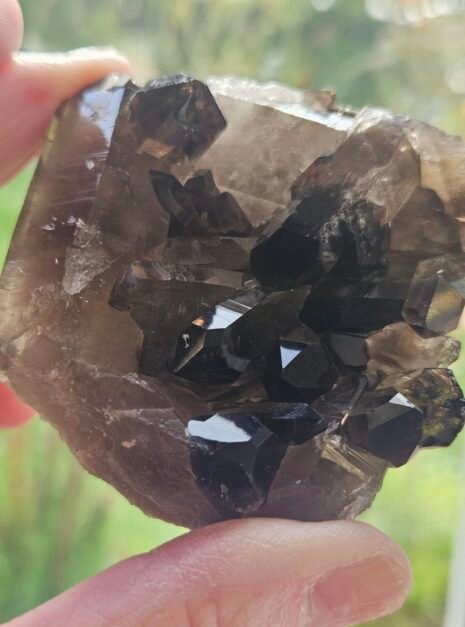 Smoky Quartz Cluster 6 Smoky Quartz Cluster